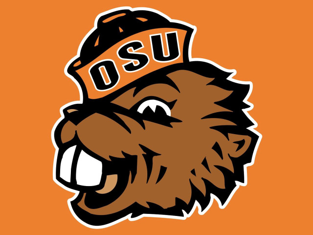 Brown bear hat osu smiling free wallpaper for desktop - medium preview image