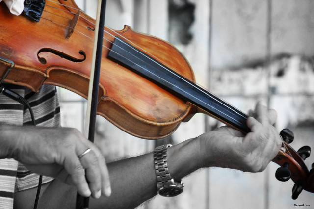 Woman holding violins black white free wallpaper for desktop - medium preview image