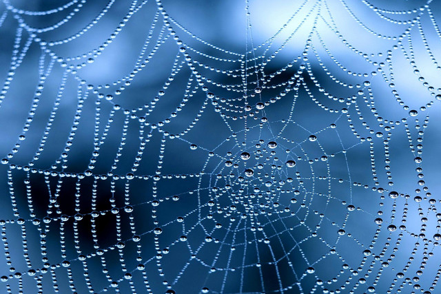 Spider web water drops window free wallpaper for desktop - medium preview image
