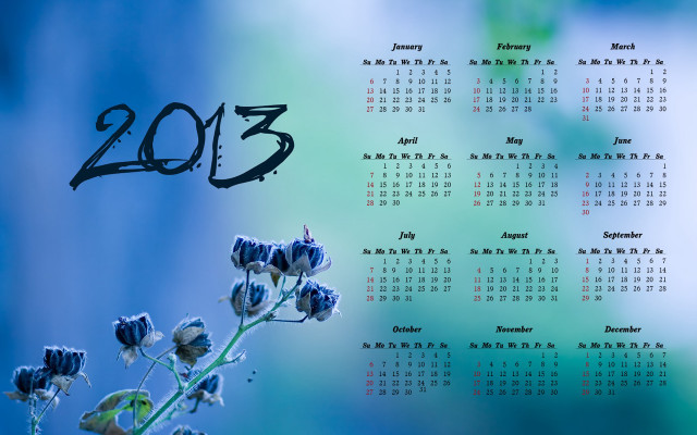 2013 calendar blue flower blue free wallpaper for desktop - medium preview image