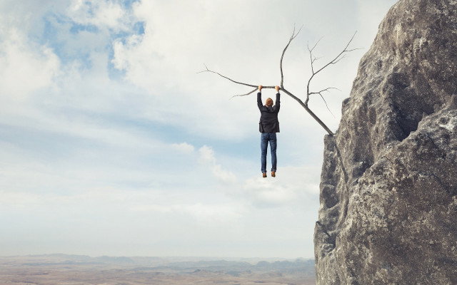 Man standing rock holding tree free wallpaper for desktop - medium preview image