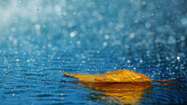Leaf floating rain water blue #2 free wallpaper for desktop - medium preview image