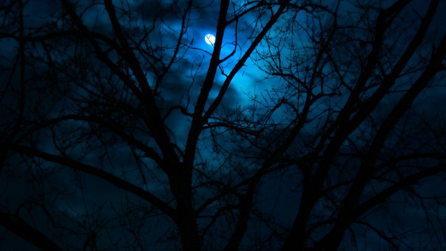 Leafless tree full moon clouds free wallpaper for desktop - medium preview image