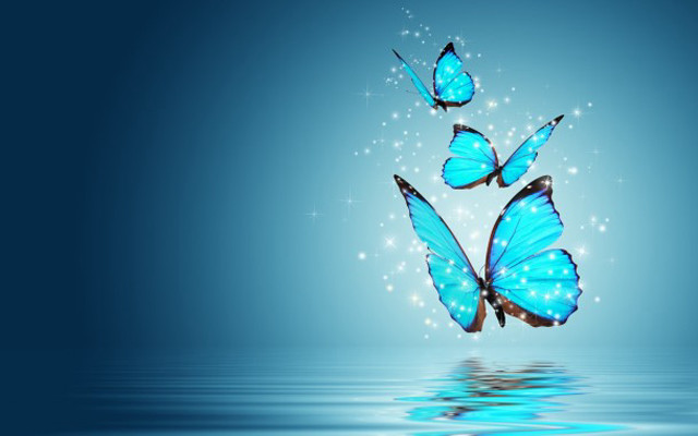 Blue butterflies water stars hologram free wallpaper for desktop - medium preview image