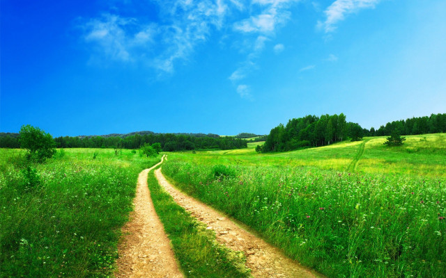 Dirt road lush green field #4 free wallpaper for desktop - medium preview image