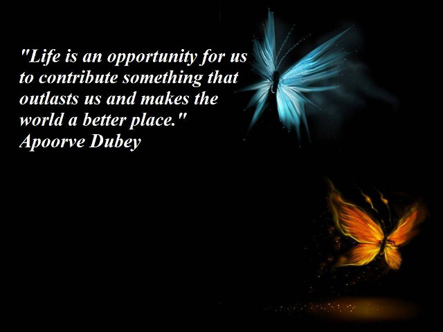 Butterfly flying dark quote opportunity free wallpaper for desktop - medium preview image
