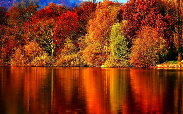 Lake trees orange red leaves free wallpaper for desktop - medium preview image