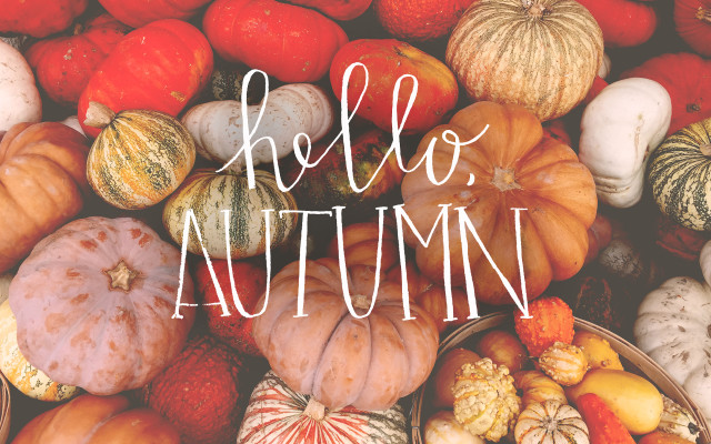 Hello autumn pumpkins pile fall free wallpaper for desktop - medium preview image