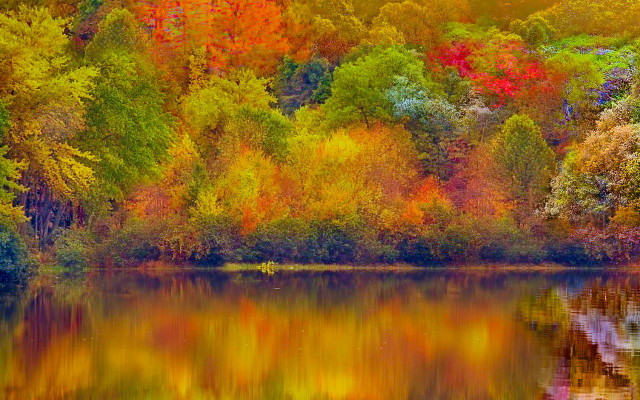 Autumn lake forest leaves sunset free wallpaper for desktop - medium preview image