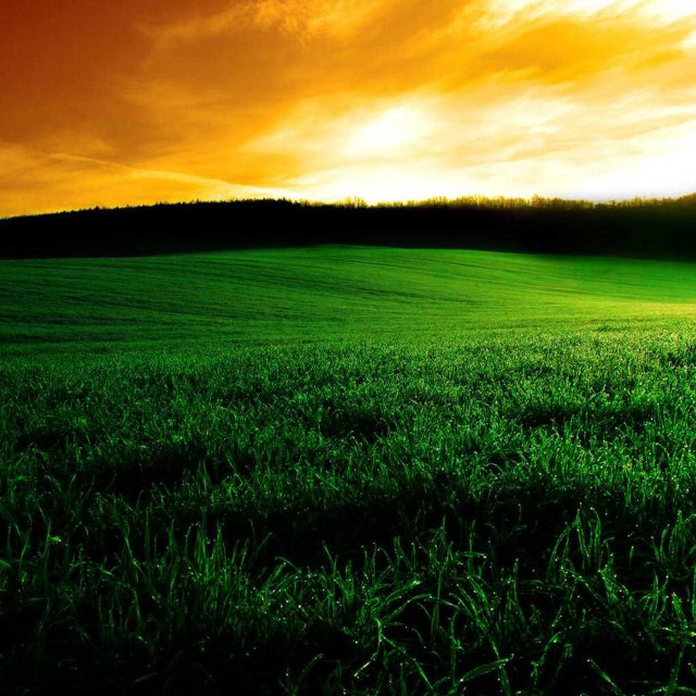 Field sunset red sky clouds free wallpaper for tablet - medium preview image