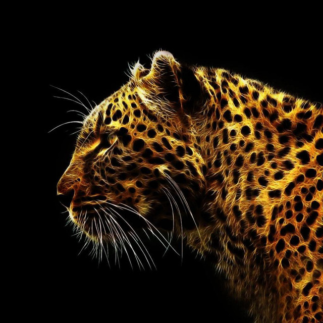 Leopard closeup fireworks glow kaijuu free wallpaper for tablet - medium preview image