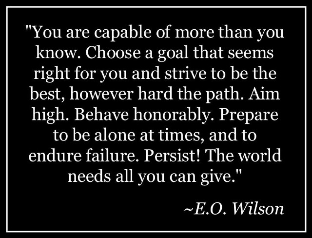 Eowilson inspirational poetry mosaic elfsmith free wallpaper for desktop - medium preview image