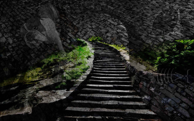 Stone staircase tree hill rock free wallpaper for desktop - medium preview image