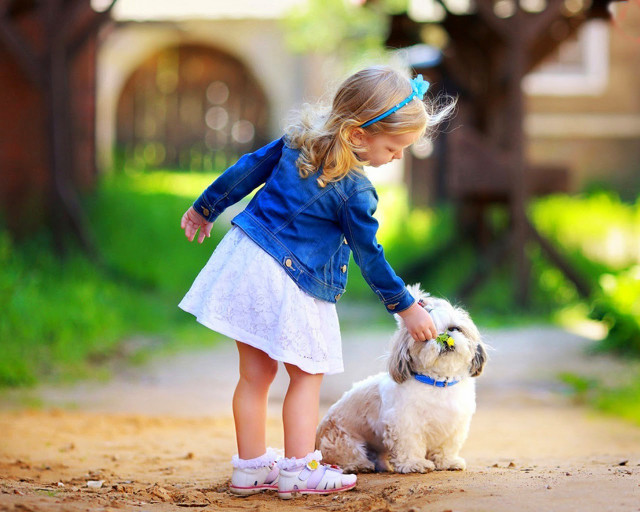 Little girl petting small dog #2 free wallpaper for desktop - medium preview image