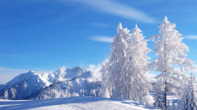 Snowy mountain trees blue sky #12 free wallpaper for desktop - medium preview image