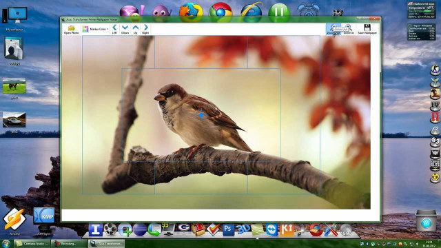 Bird branch tree computer screen free wallpaper for desktop - medium preview image