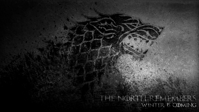 Lion black white photo with free wallpaper for desktop - medium preview image