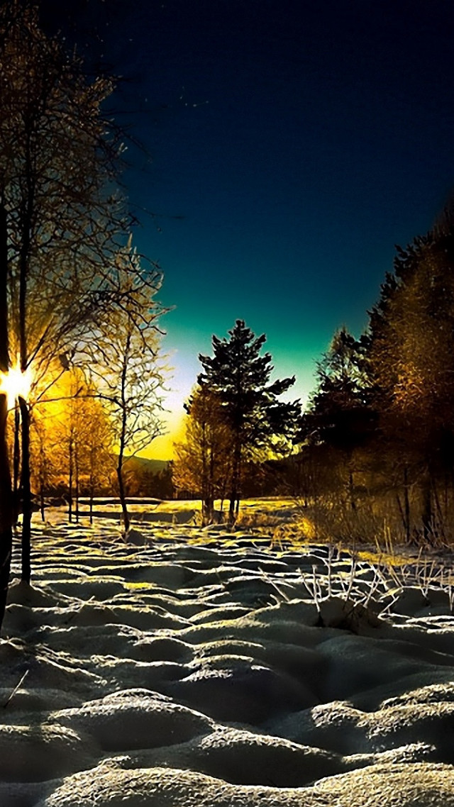 Snowy field trees bench night free wallpaper for mobile - medium preview image