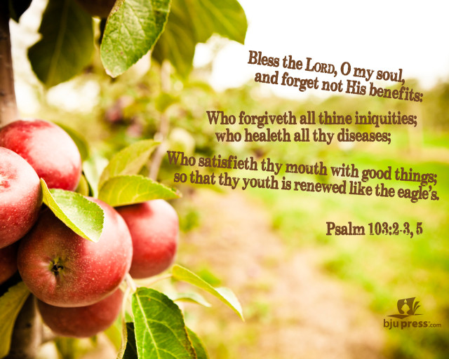 Tree fruit bible verse lord free wallpaper for desktop - medium preview image