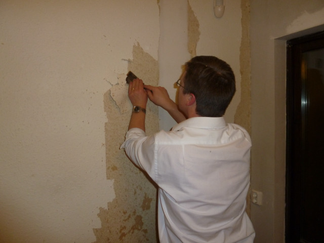 Man plastering wall paintroller berndfasching free wallpaper for desktop - medium preview image