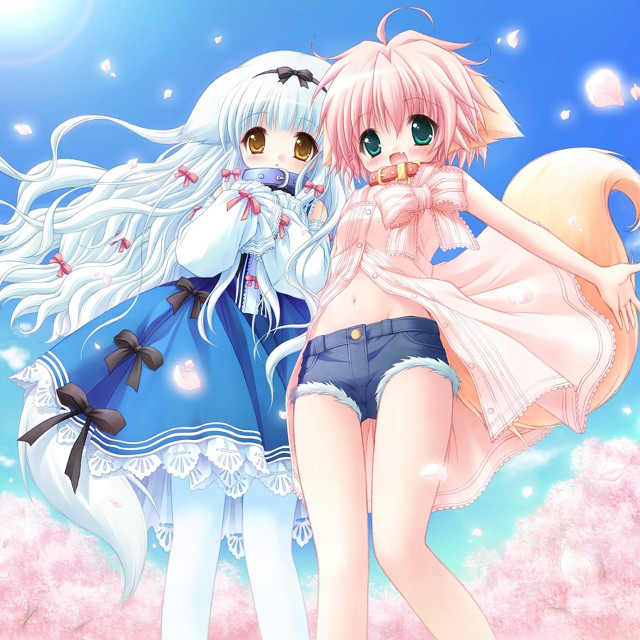 Anime girls field flowers blue #2 free wallpaper for tablet - medium preview image