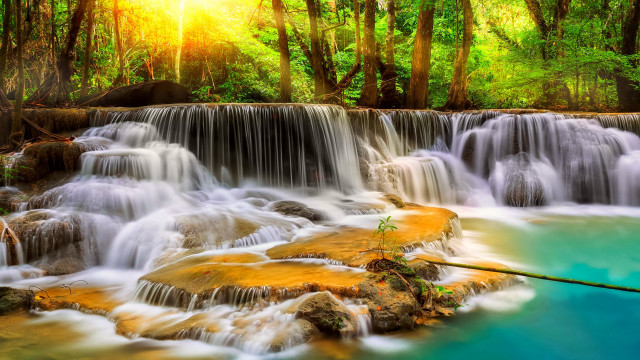Waterfall river wooden stick water free wallpaper for desktop - medium preview image