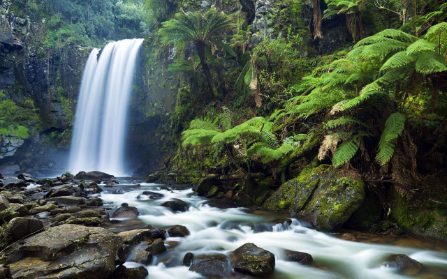 Waterfall forest rocks trees stream #7 free wallpaper for desktop - medium preview image