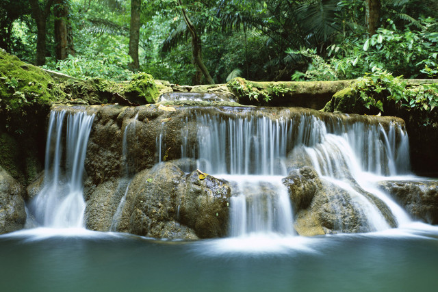 Waterfall rocks water running trees free wallpaper for desktop - medium preview image