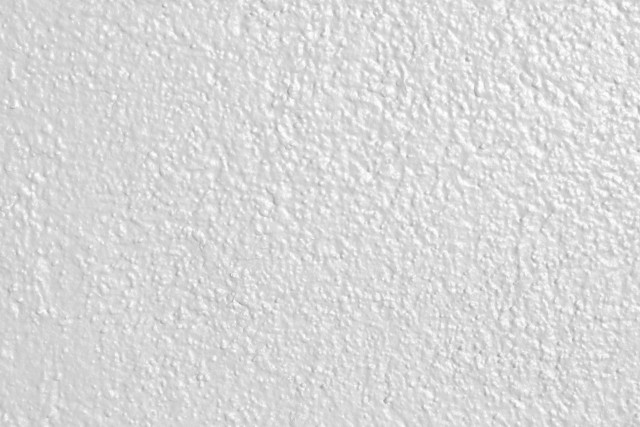 White wall black white cat #2 free wallpaper for desktop - medium preview image