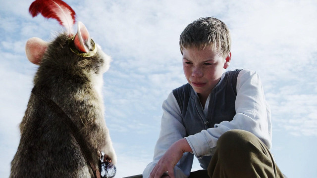 Boy petting rat animal looking free wallpaper for desktop - medium preview image