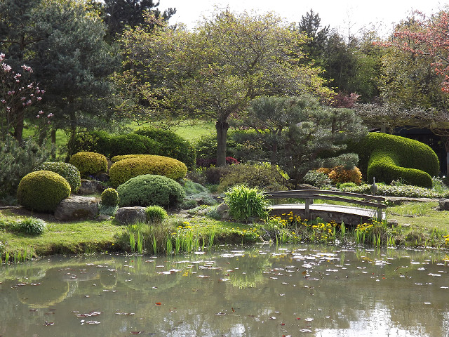 Pond trees bushes bridge middle free wallpaper for desktop - medium preview image