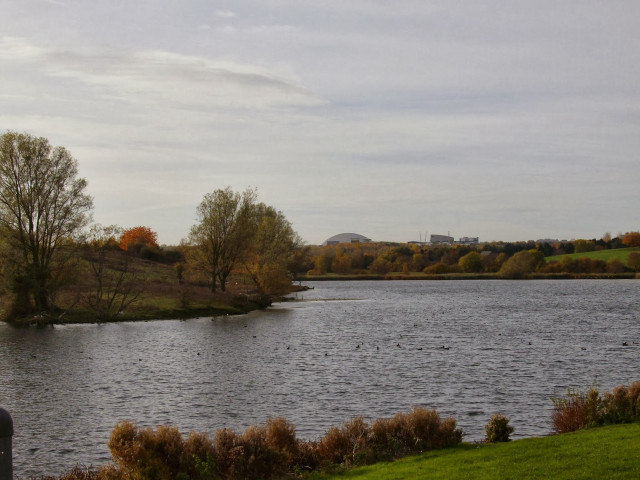 Fall water trees grass cloudy free wallpaper for desktop - medium preview image