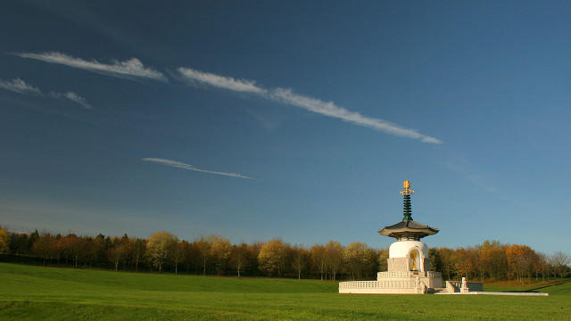 White monument tower field trees free wallpaper for desktop - medium preview image