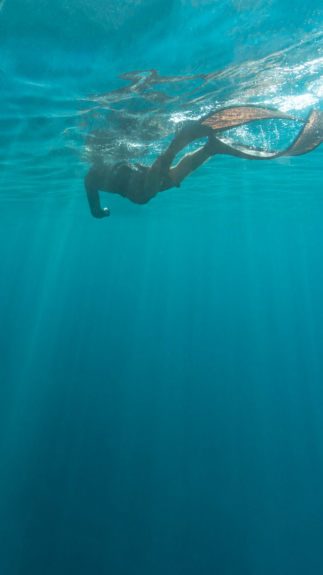 Swimming ocean person long tail free wallpaper for mobile - medium preview image