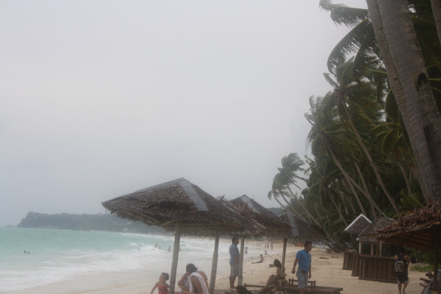 Beach group people ocean palm #2 free wallpaper for desktop - medium preview image