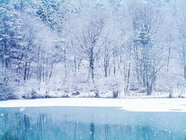 Snowy scene lake trees snowfall free wallpaper for desktop - medium preview image