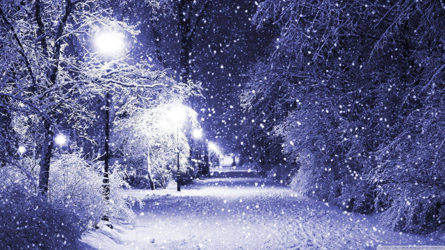 Snowy path street light trees free wallpaper for desktop - medium preview image