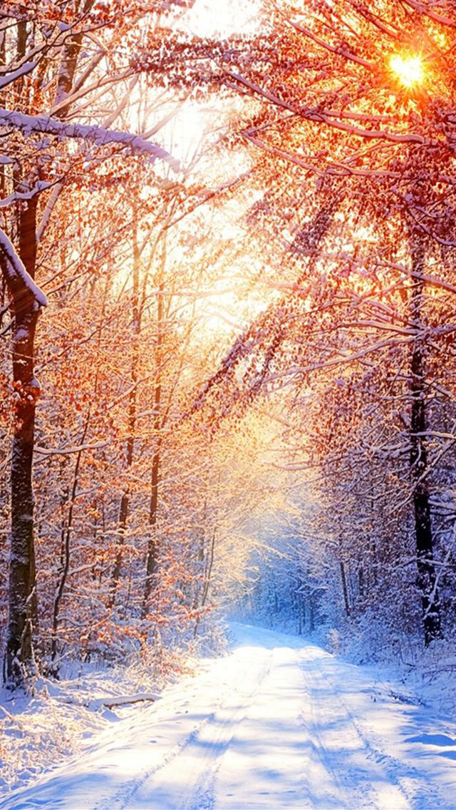 Snowy road trees sunshine magic free wallpaper for mobile - medium preview image