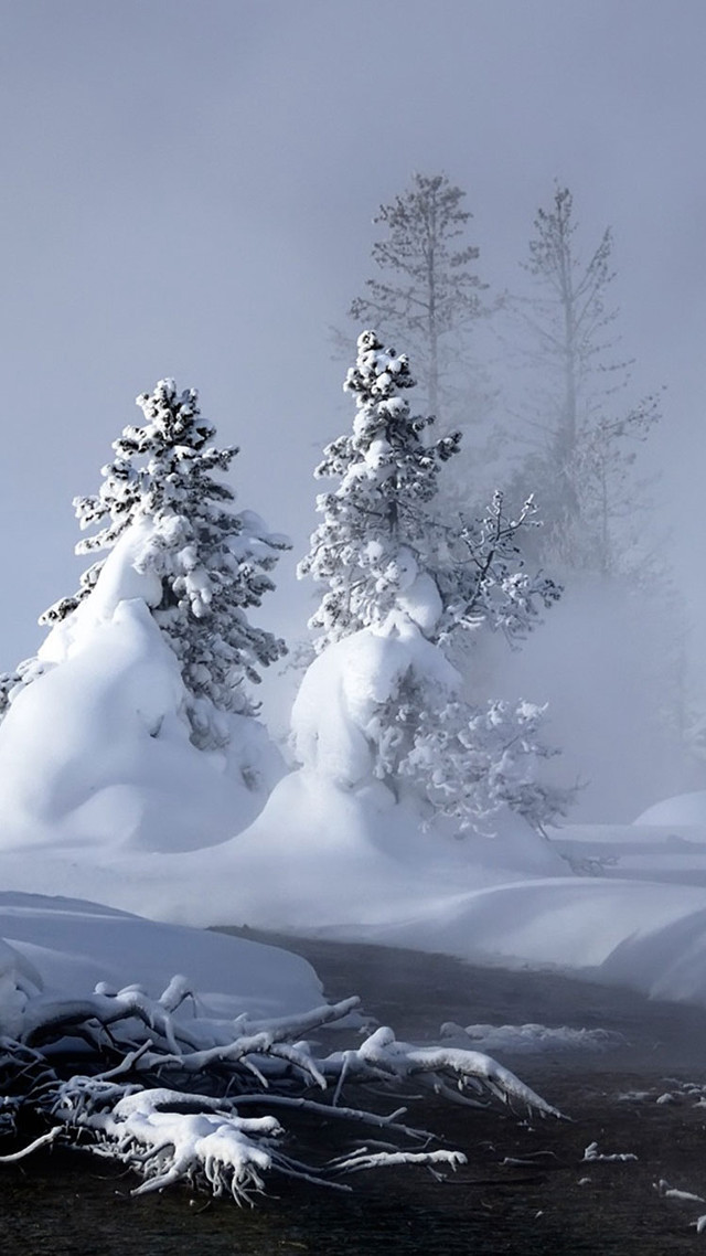 Winter stream snow covered forest free wallpaper for mobile - medium preview image