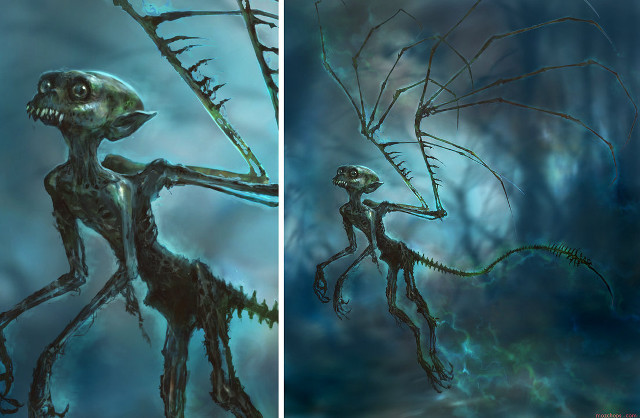 Creature woods tree branch foreground free wallpaper for desktop - medium preview image