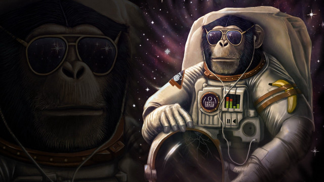 Monkey space suit sunglasses astronaut free wallpaper for desktop - medium preview image