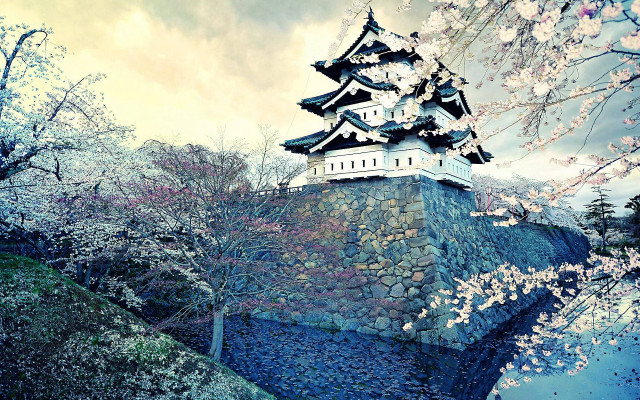 Castle moat bridge cherry blossoms free wallpaper for desktop - medium preview image