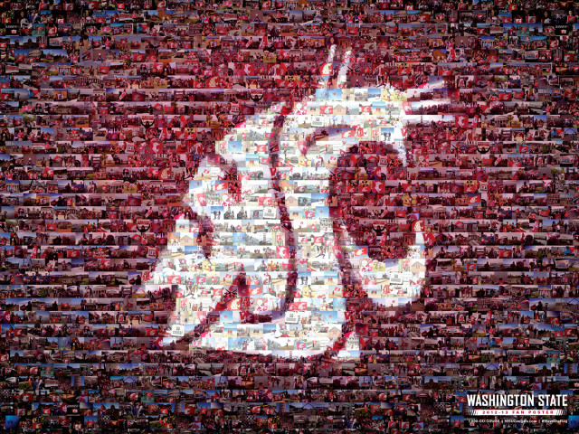 Washington state football team logo free wallpaper for desktop - medium preview image