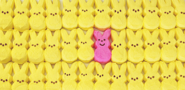 Pink bunny peeking yellow wall free wallpaper for desktop - medium preview image