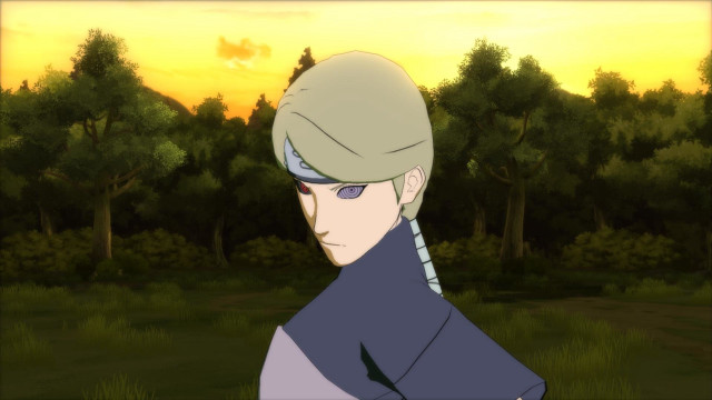 Man ponytail field trees sunset free wallpaper for desktop - medium preview image