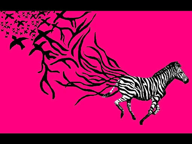 Zebra running birds pink background free wallpaper for desktop - medium preview image