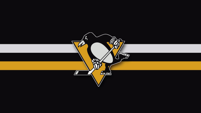 Pittsburgh penguins logo black yellow free wallpaper for desktop - medium preview image