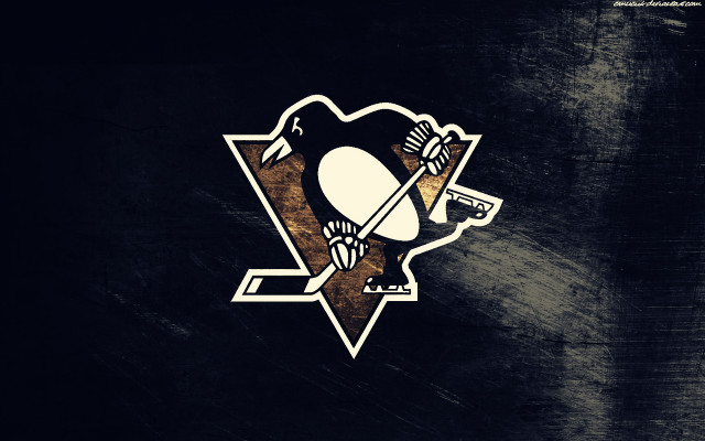 Hockey team logo black background free wallpaper for desktop - medium preview image