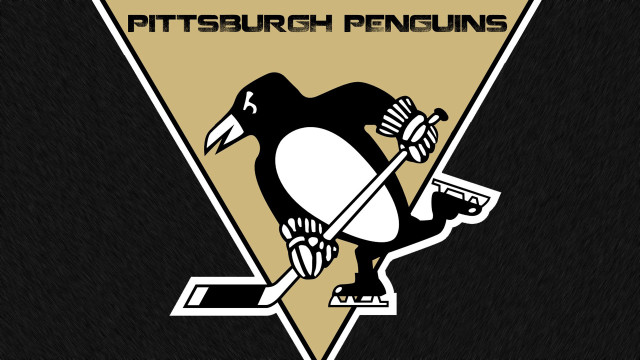 Penguin hockey stick puck Pittsburgh free wallpaper for desktop - medium preview image