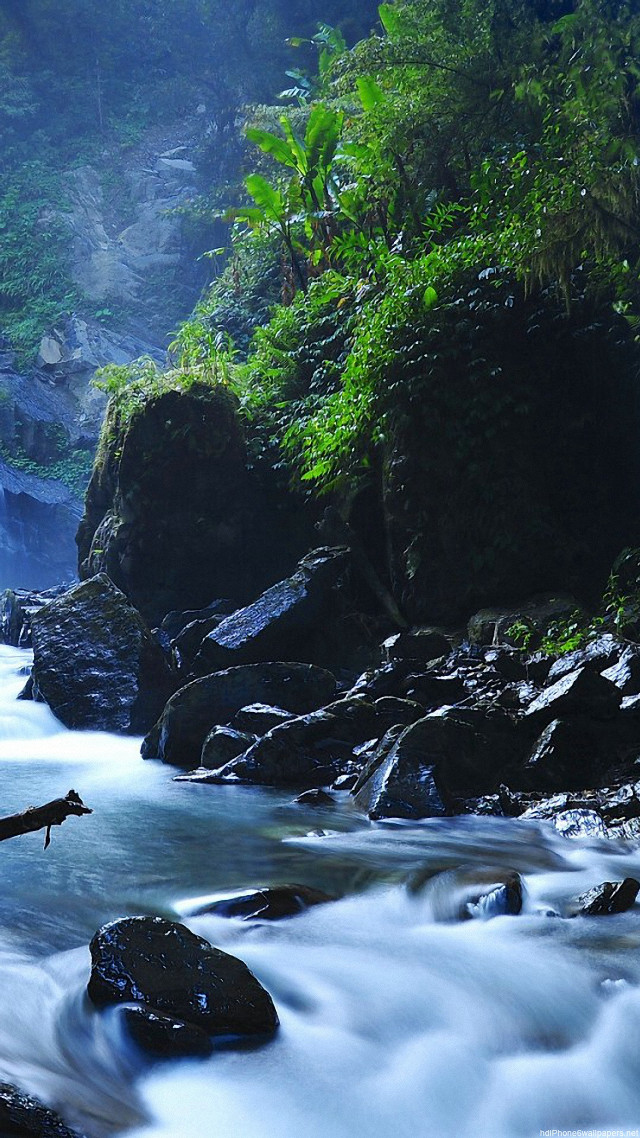 River flowing lush green forest #8 free wallpaper for mobile - medium preview image